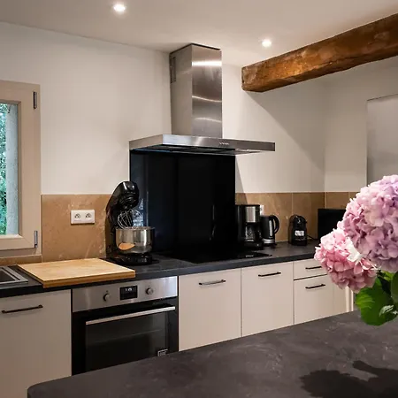 Villa Magnifique En Pierre Avec Piscine Saint-Vincent-de-Lamontjoie